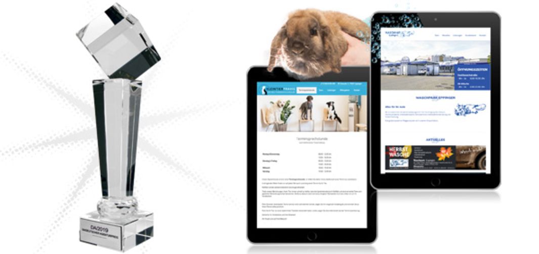 Agenturpreis, Webseite Kleintierpraxis und Webseite Waschpark